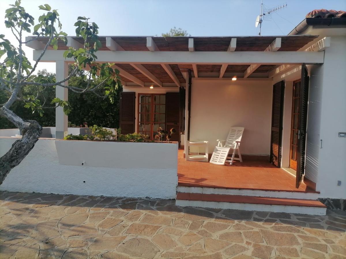 Le Palme Apartment Capoliveri  Ngoại thất bức ảnh
